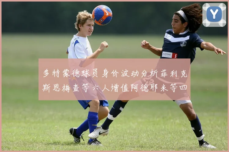 多特蒙德球员身价波动分析菲利克斯恩梅查等六人增值阿德耶米等四人贬值