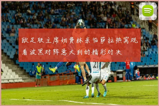 欧足联主席切费林亲临萨拉热窝观看波黑对阵意大利的精彩对决