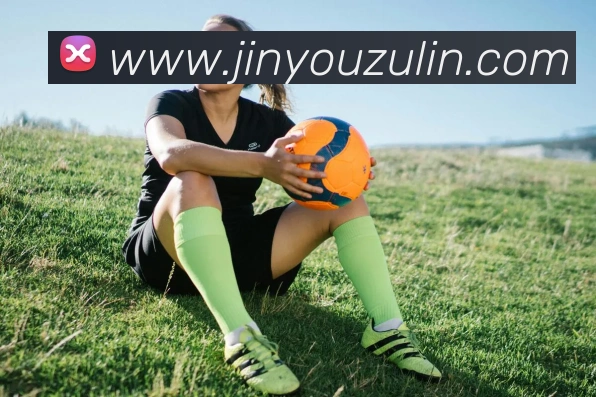 九游体育在线登录入口APP 封面图